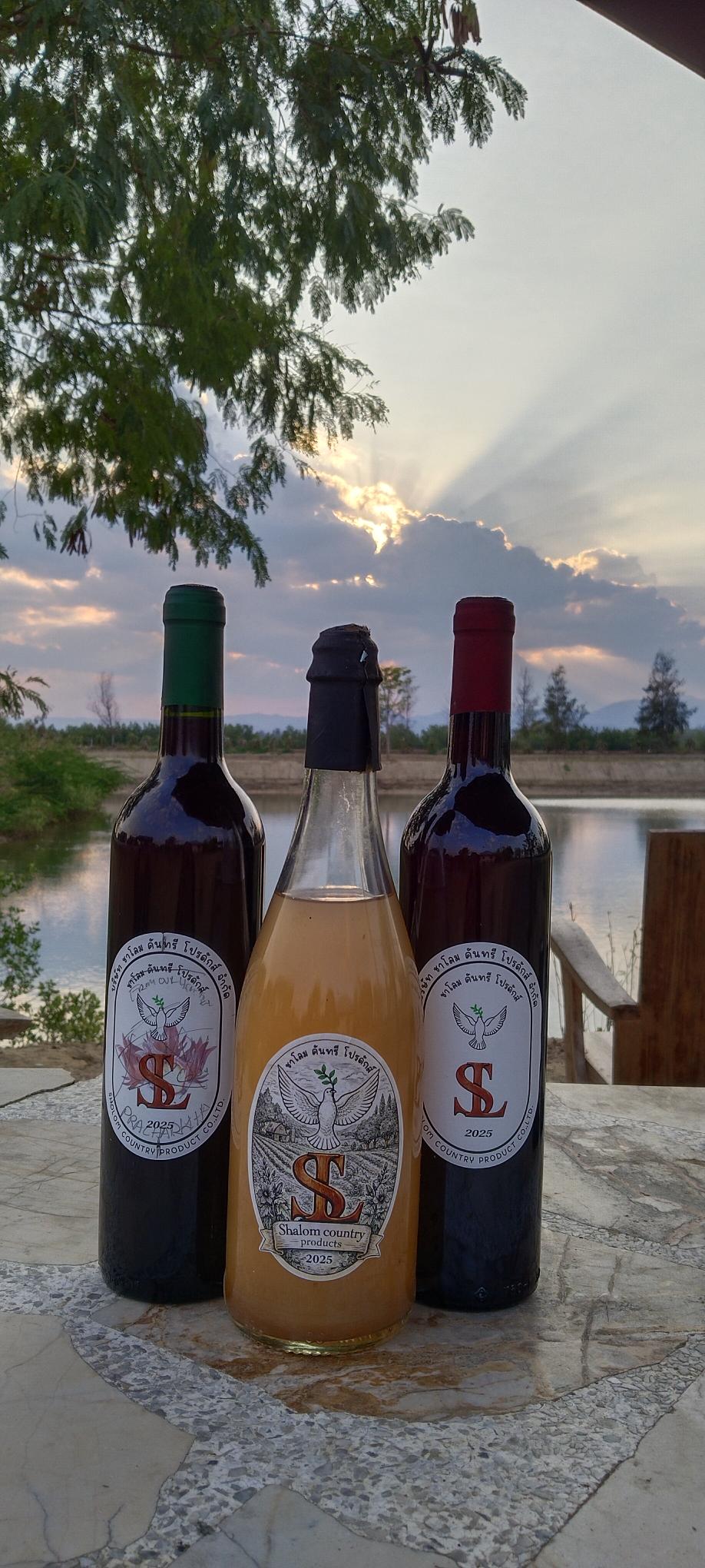 A selection of Shalom Country Wines hand-crafted bottles from 2025